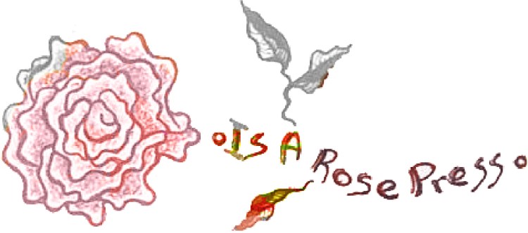 i a rose press: poetry, poetics, experimental writing, cross-genre and other work